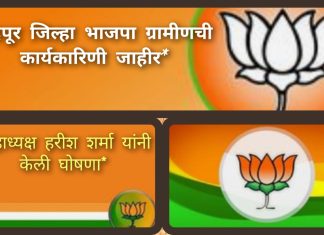 *चंद्रपूर जिल्हा भाजपा ग्रामीणची कार्यकारिणी जाहीर*