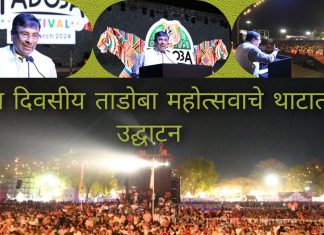 मानवी जीवन, सृष्टीच्या संरक्षणासाठी व्याघ्र संवर्धन गरजेचे : वनमंत्री सुधीर मुनंगटीवार*