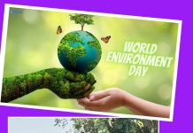 पर्यावरणाचा समतोल राखणे ही काळाची गरज :-प्रशांत भाऊ गाडेवार