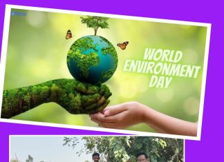 पर्यावरणाचा समतोल राखणे ही काळाची गरज :-प्रशांत भाऊ गाडेवार