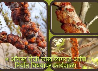 14 ऑगस्ट रोजी लाख लागवड आणि निर्यात विषयावर कार्यशाळा