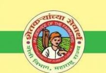 जिल्ह्यातील कापूस व सोयाबीन उत्पादक शेतकऱ्यांच्या खात्यात 35 कोटी 20 लक्ष 96 हजार रुपये जमा