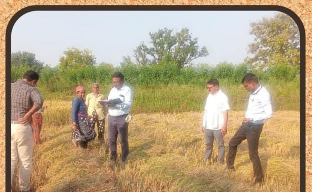 *सावली तालुक्यात भात पिकावरील लष्करी अळीची कृषि अधिकाऱ्यांनी केली पाहणी*