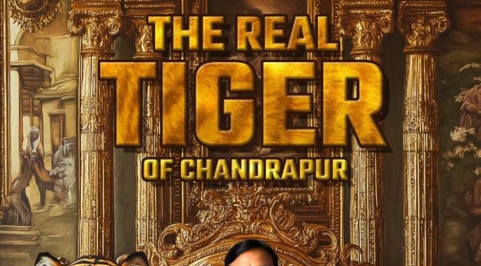 *ना.सुधीर मुनगंटीवार यांनी दाखवून दिलं ‘टायगर अभी जिंदा है..’*